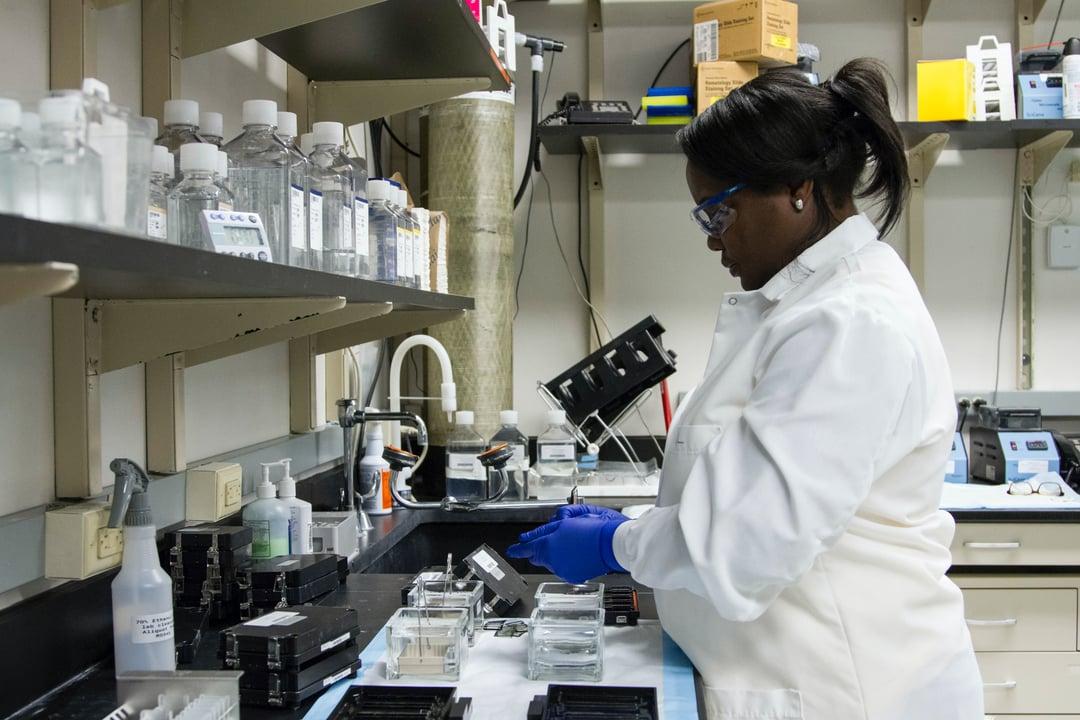 DNA sequencing in lab